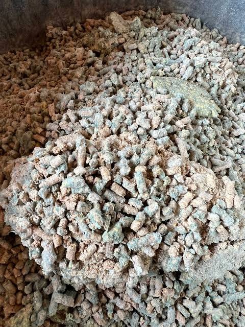 MOULDY FEEDS: THE SILENT THREAT THAT CAN KILL RUMINANTS